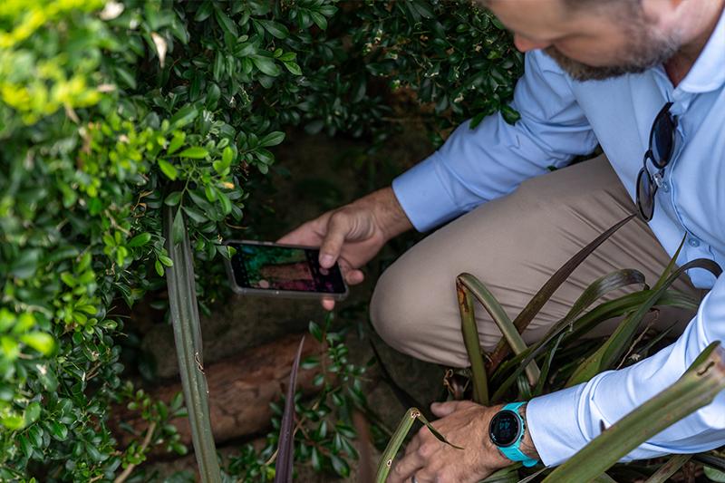 Building inspector using advanced technology for pest and property inspection in FNQ – Premier Inspections FNQ ensures detailed assessments